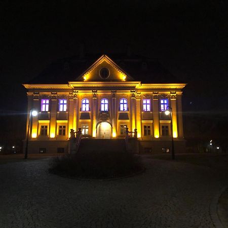 Hotel Palac Borynia Jastrzębie Zdrój Екстериор снимка