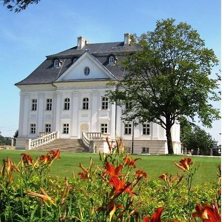 Hotel Palac Borynia Jastrzębie Zdrój Екстериор снимка