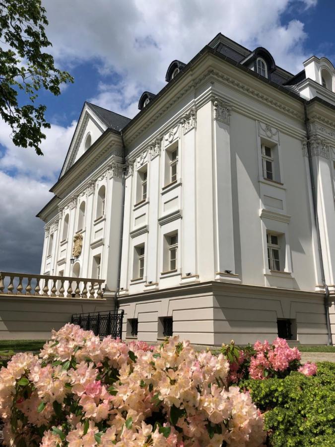 Hotel Palac Borynia Jastrzębie Zdrój Екстериор снимка
