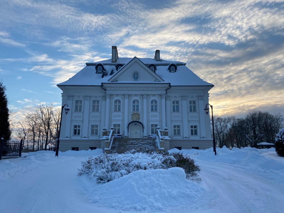 Hotel Palac Borynia Jastrzębie Zdrój Екстериор снимка