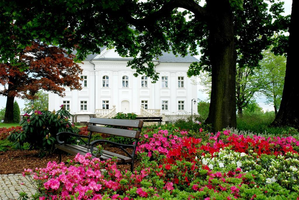 Hotel Palac Borynia Jastrzębie Zdrój Екстериор снимка